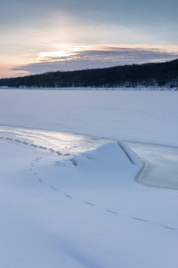 hayvan kış karda izler