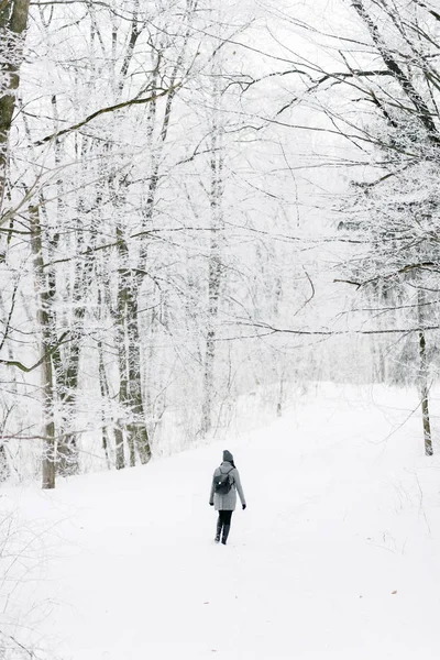 Kışın ormandaki kız