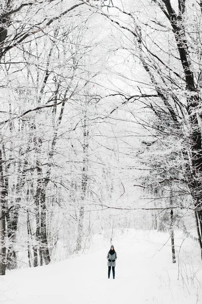 Kışın ormandaki kız