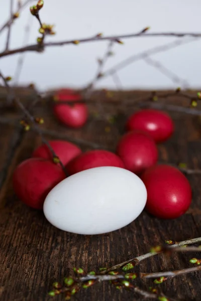 Ovos de Páscoa de cor vermelha em um fundo de madeira, em conjunto com ramos de outono — Fotografia de Stock