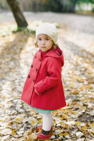 Κορίτσι με το κόκκινο παλτό του φθινοπώρου Εικόνα Αρχείου