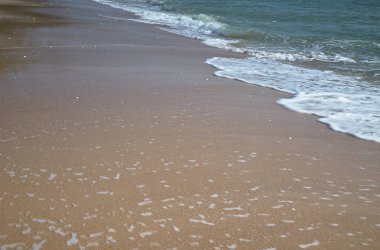 Yeşil okyanus dalgası