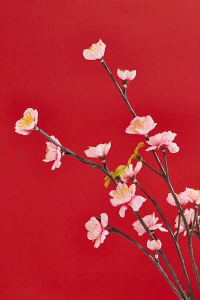 Decoração do ano novo chinês para o festival da primavera — Fotografia de Stock