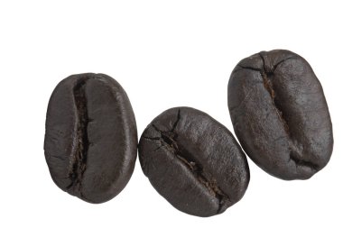 Kavrulmuş kahve çekirdekleri. Tüm beyaz arka plan üzerinde