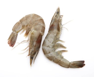 taze karides üzerinde beyaz izole