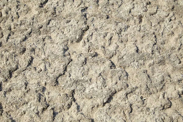 Кристаллы соли почвы , — стоковое фото