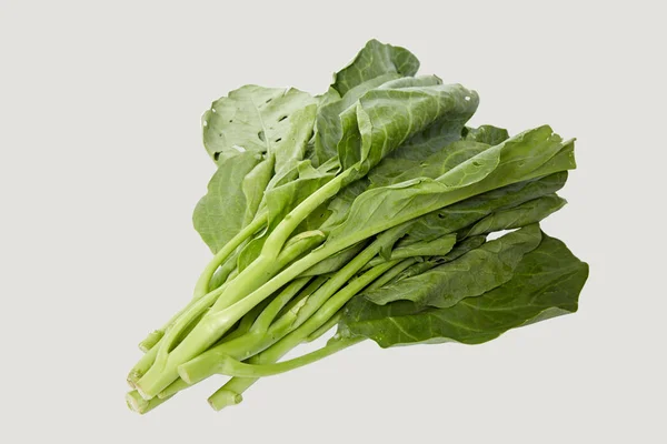 Kinesisk broccoli grönsaker — Stockfoto