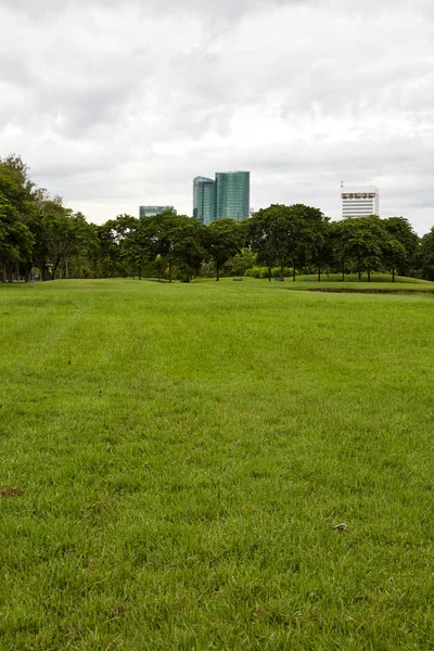 Městský Park Městský Park Vachirabenjatas Park Rot Fai Park Bangkok — Stock fotografie