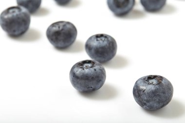 Beyaz arka planlı portre üzerinde izole taze yaban mersini