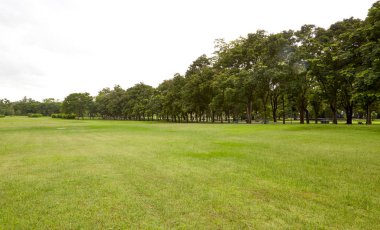 Arka Bahçe, Bahçe gökyüzü ile