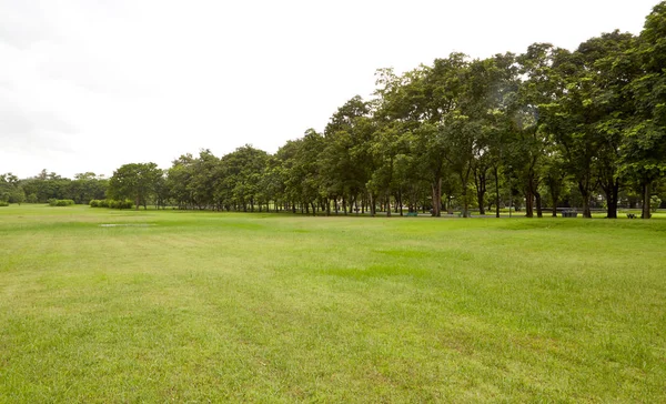 Hinterhof Garten Mit Himmel — Stockfoto