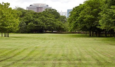 Şehir Parkı, Vachirabenjatas Park (Rot Fai Parkı) Bangkok, Thailan, Şehir Parkı