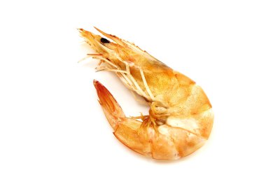 Beyaz arka plan üzerinde izole karides.