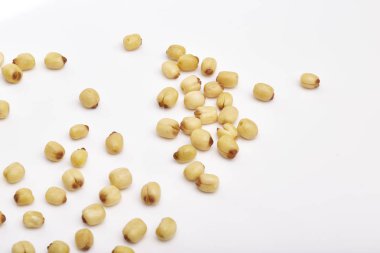 Beyaz arkaplanda nilüfer tohumları