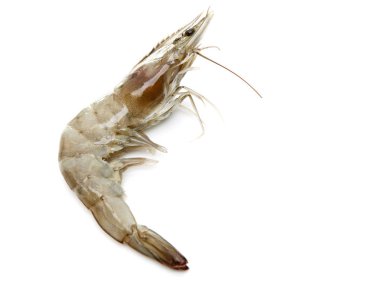 İzole beyaz zemin üzerine Tayland taze karides
