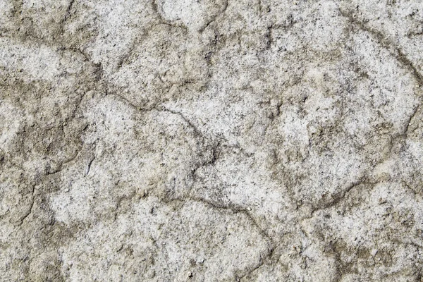 土壌塩の結晶 塩の平原 — ストック写真