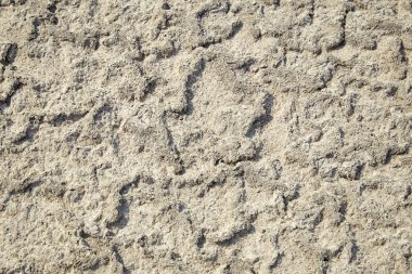 toprak tuz kristalleri, tuz daireler, tuzlu toprak