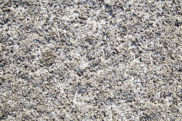 Soil Salt Crystals Salt Flats Saline Soil — Stock Photo, Image