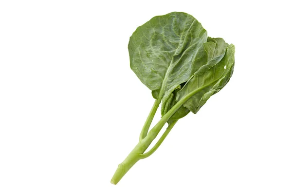 Vegetales Brócoli Chinos Aislados Sobre Fondo Blanco — Foto de Stock