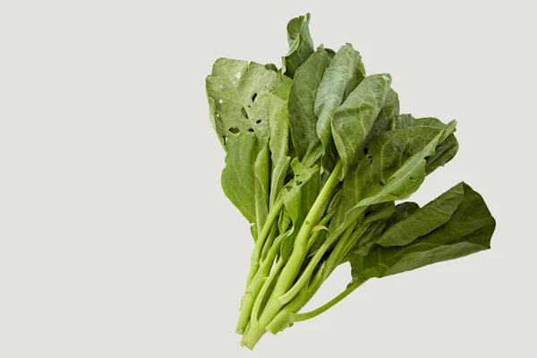 Chinese Broccoli Groenten Geïsoleerd Witte Achtergrond — Stockfoto