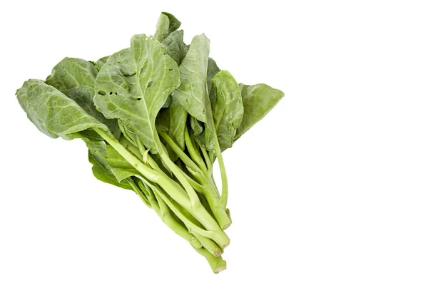 Chinese Broccoli Groenten Geïsoleerd Witte Achtergrond — Stockfoto