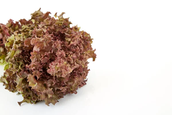 Beyaz zemin üzerine kırmızı taze marul