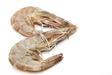 Beyaz arka plan üzerinde taze karides/karides