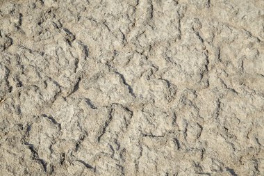 toprak tuz kristalleri, tuz daireler, tuzlu toprak