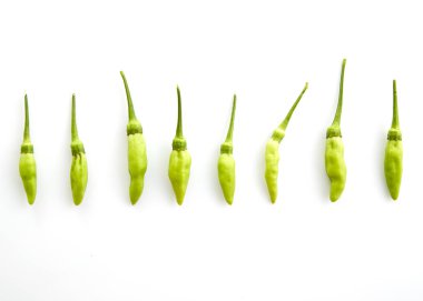 Beyaz arkaplanda yeşil biber izole edilmiş