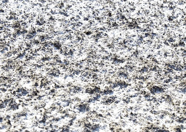 Кристаллы Соли Почвы Соляные Равнины Соляная Почва — стоковое фото