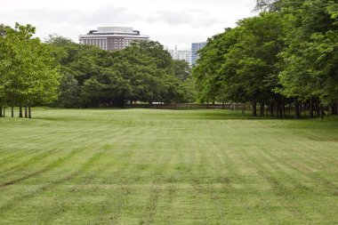 Şehir Parkı, Vachirabenjatas Park (Rot Fai Parkı) Bangkok, Thailan, Şehir Parkı