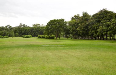 Arka Bahçe, Bahçe gökyüzü ile