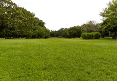 Arka Bahçe, Bahçe gökyüzü ile