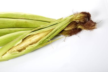 Işık gölge beyaz arka planda, yığın IMAG bebek Mısır