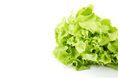 Beyaz izole meşe yaprak yeşil marul