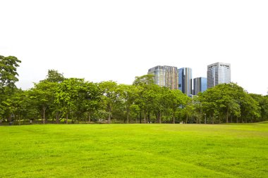 Central Park'a güneşli gün ile ot, bangkok Tayland