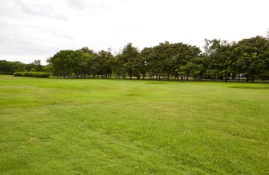 Arka Bahçe, Bahçe gökyüzü ile