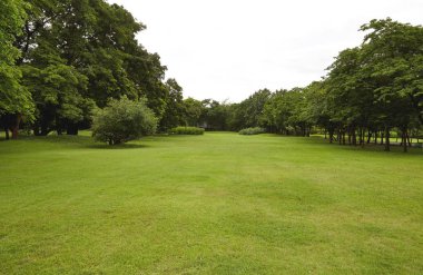 Arka Bahçe, Bahçe gökyüzü ile