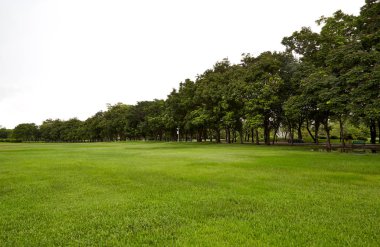 Arka Bahçe, Bahçe gökyüzü ile