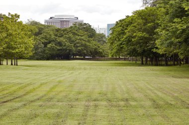 Şehir Parkı, Vachirabenjatas Park (Rot Fai Parkı) Bangkok, Thailan, Şehir Parkı