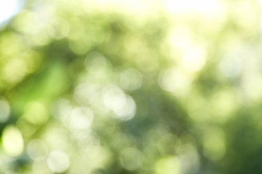 Deniz çerçeve güç okyanus plaj doku mavi filtre boş bahar zaman Dünya hava güneş fikir dalga açık yumuşak ışık Bokeh Flare kum barış Relax güneşli inanç bulutlu cennet kızdırma başlar Aqua tıp kavramı bulanıklık