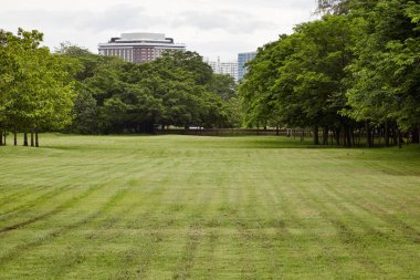 Şehir Parkı, Vachirabenjatas Park (Rot Fai Parkı) Bangkok, Thailan, Şehir Parkı