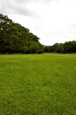 Arka Bahçe, Bahçe gökyüzü ile