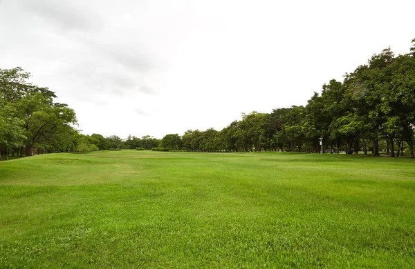 Arka Bahçe, Bahçe gökyüzü ile