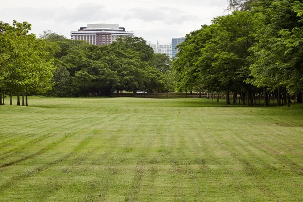 Şehir Parkı, Vachirabenjatas Park (Rot Fai Parkı) Bangkok, Thailan, Şehir Parkı