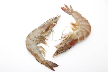 Tayland 'da beyaz arka planda taze karides.