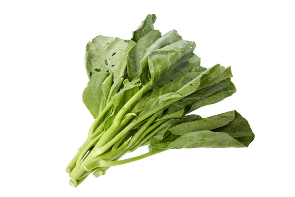 Chinese Broccoli Groenten Geïsoleerd Witte Achtergrond — Stockfoto