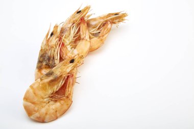Beyaz arka plan üzerinde izole karides.