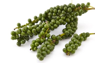 beyaz zemin üzerine yeşil peppercorns