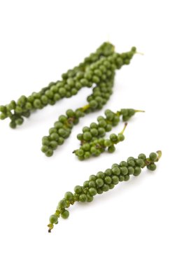 beyaz zemin üzerine yeşil peppercorns